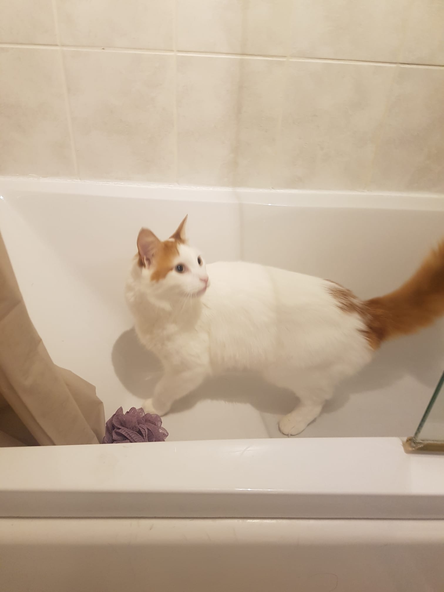 xbenjamin2025 avatar